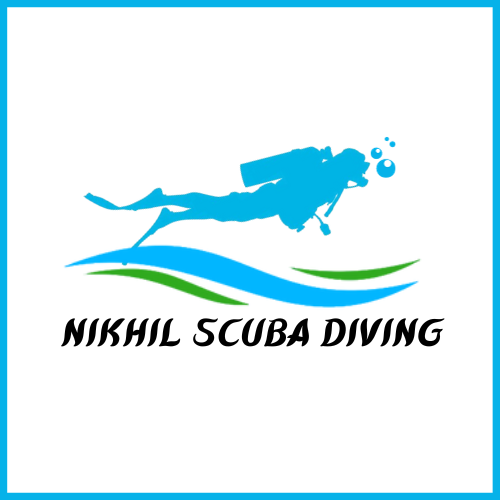 logo nikhil