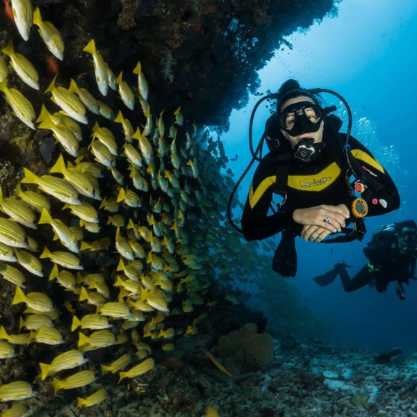 scuba diving rate in tarkarli